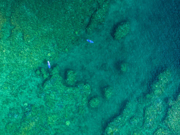 istock Drone shot of two men doing paddle boarding among coral reefs 2171113816