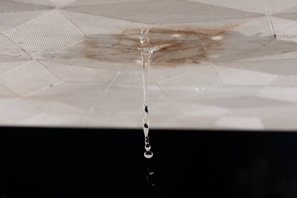 istock Ceiling Water leak from rain or broken pipe. House Water leaking on ceiling tile board and create dirty stain of flowing water, black background isolated 2171123778