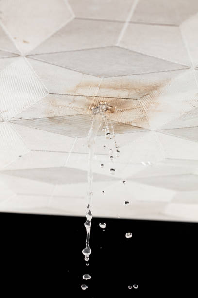 istock Ceiling Water leak from rain or broken pipe. House Water leaking on ceiling tile board and create dirty stain of flowing water, black background isolated 2171123790