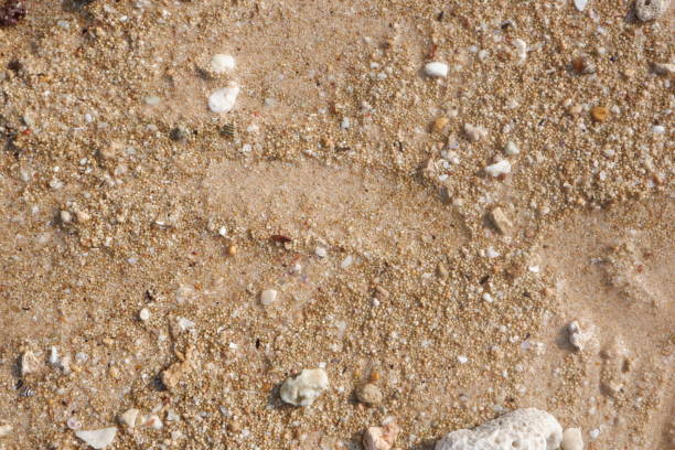 istock Beach sand texture is used for the background 2171125695