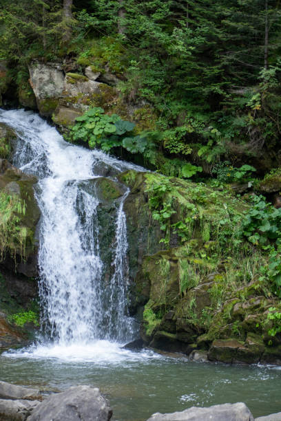 istock Mountain waterfall in the forest. Green nature. 2171125696