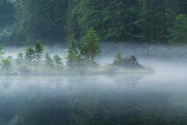 istock Morning Haze Around The Peninsula 2171129053