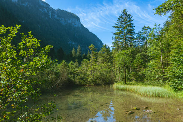 istock Sunny Morning At Lake Falkensee 2171129107
