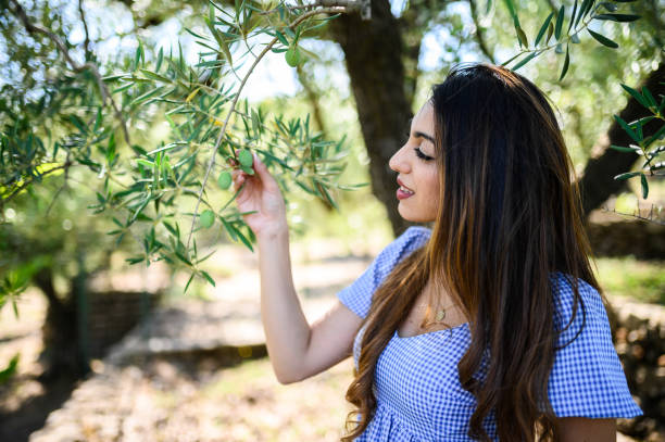 istock Young woman picking olives from tree branch in olive grove 2171129145