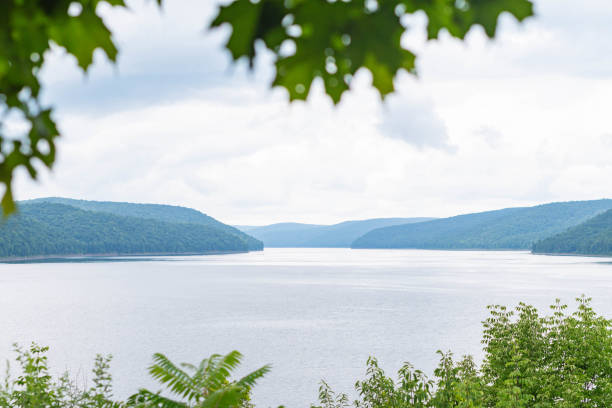 istock Mountain lake framed with green lush leaves bokeh backgrounds 2171130947