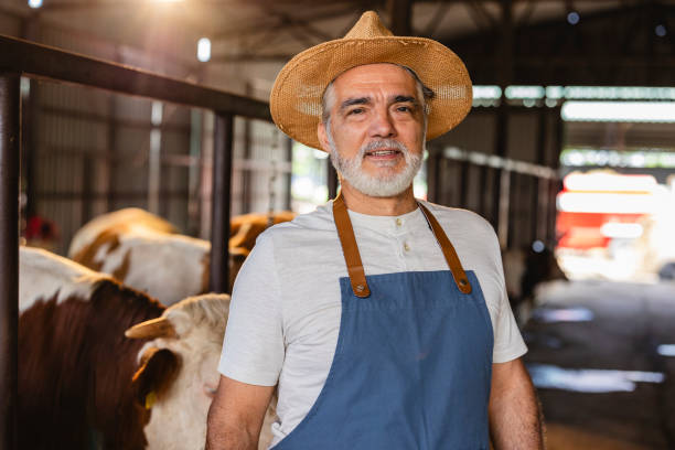 istock Senior Farmer Smiling in Cattle Barn Wearing Straw Hat 2171133580