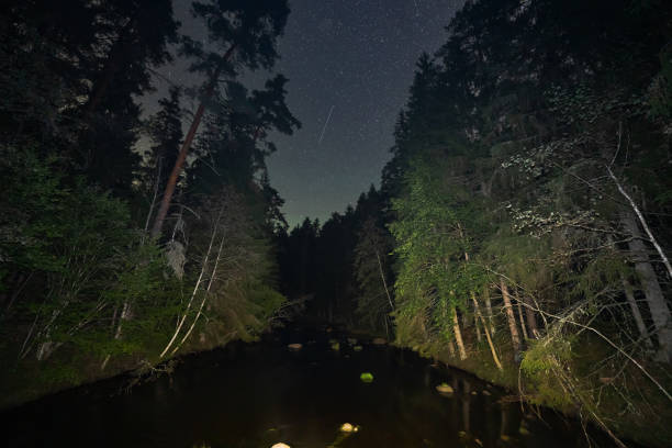 istock Landscape astrophotography, night scene, Ahja river flows through forest in Taevaskoja in summer. 2171135333