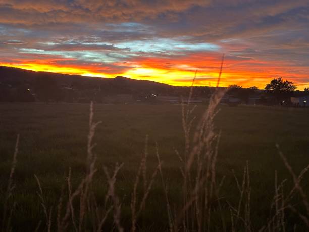 istock Colorado Sunrise Hay Field 2171135718