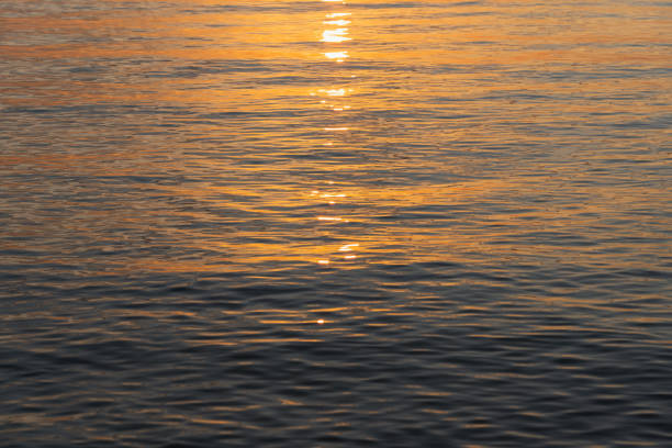 Calm in the Baltic Sea during sunset, photo background texture.