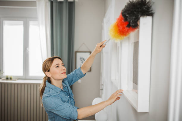 House dust, dustpan and brush set on the floor