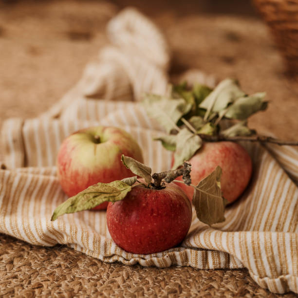 Autumn apples freshed picked with leaves