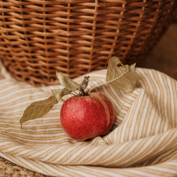 Autumn apples freshed picked with leaves