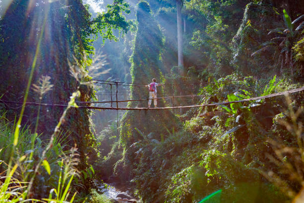 istock Single woman with backpack on suspension bridge in rainforest 2171140409