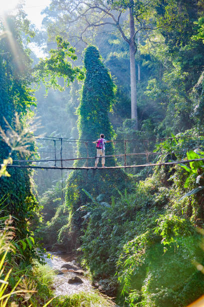 istock Single woman with backpack on suspension bridge in rainforest 2171140439