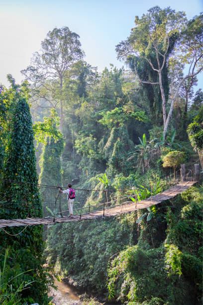 istock Single woman with backpack on suspension bridge in rainforest 2171140444