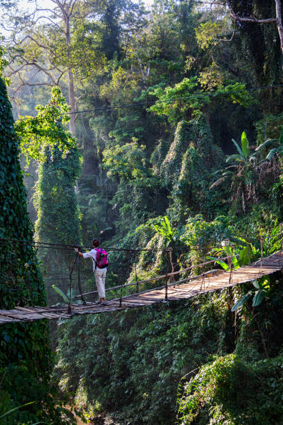 istock Single woman with backpack on suspension bridge in rainforest 2171140449
