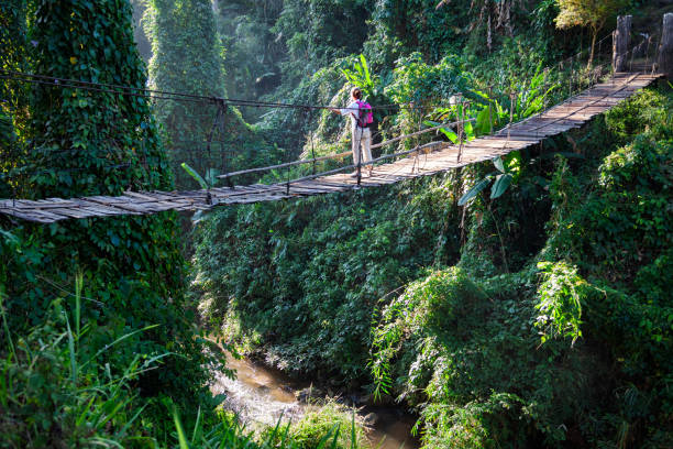 istock Single woman with backpack on suspension bridge in rainforest 2171140454