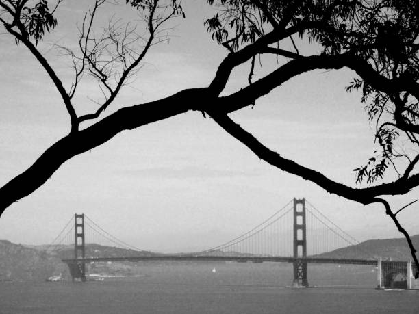 Panoarama on the Golden Gate Bridge from the Land's end trail in San Francisco, California.