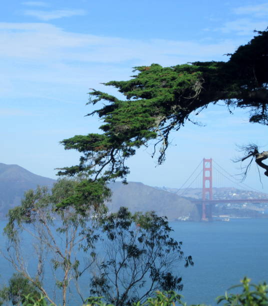 istock Golden Gate Bride, San Francisco (California) 2171140728