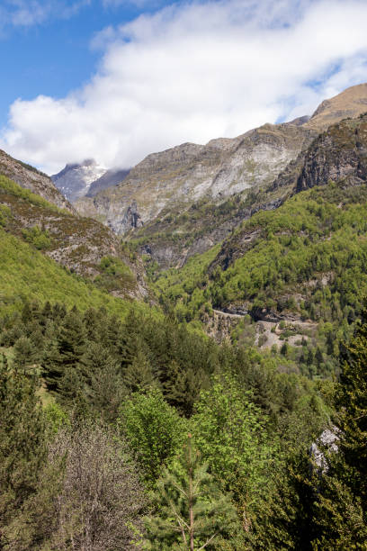 istock Lush green forested valley surrounded by towering mountains under a bright, partly cloudy sky 2171148135