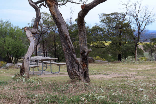 istock old picnic table amongst trees in you yangs national park 2171149696