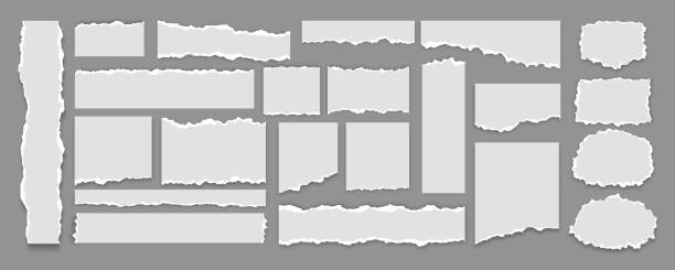 set of white torn paper sheets with isolated realistic shadow effect, collection of ripped paper strip element - kağıt stock illustrations