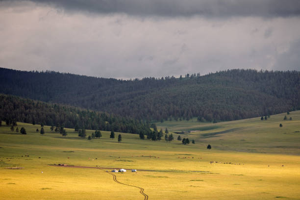 Northern Mongolia landscape in the evening during sunset