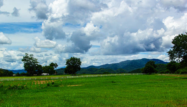 istock Background of green grass field on hills 2171154777