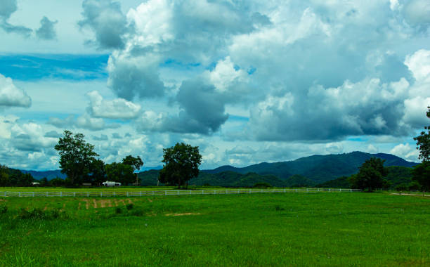 istock Background of green grass field on hills 2171154784