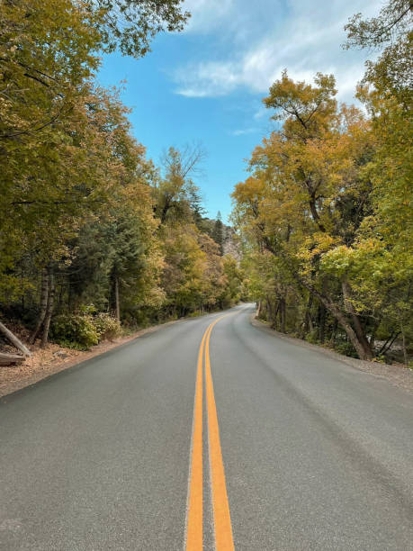 istock Beautiful road on Alpine Loop Scenic Byway 2171162225
