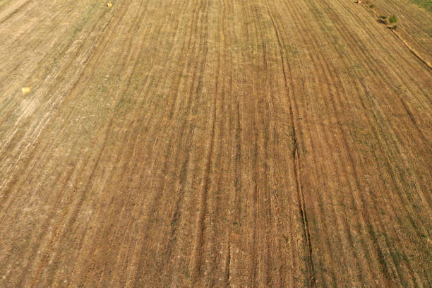 istock Aerial view of autumn harvesting agricultural field 2171163708