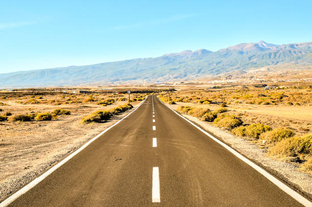 istock A long road with a few trees in the background 2171163788