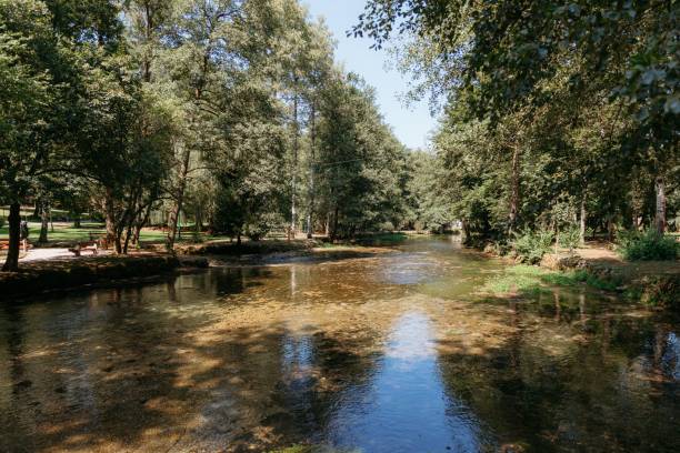 istock Serene park scene featuring a clear stream surrounded by lush green trees 2171163866