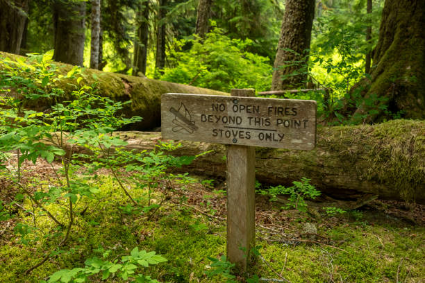 istock Campsite Sign Indicates Fires are Not Allowed in the Area 2171164225