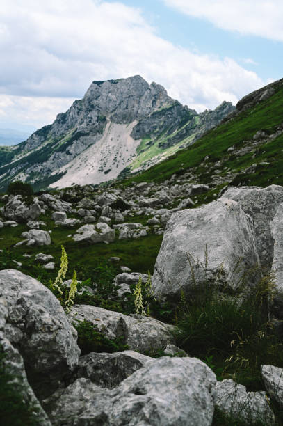 istock Panoramic Mountain Range and Views - Alpine style Alps in Durmitor, Montenegro - Wide Landscape Shot of epic Mountains and Roads 2171168070