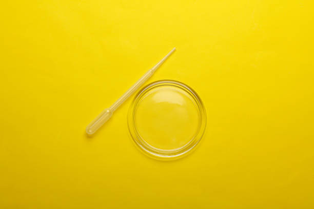 Petri dish with pipette on yellow background. Top view