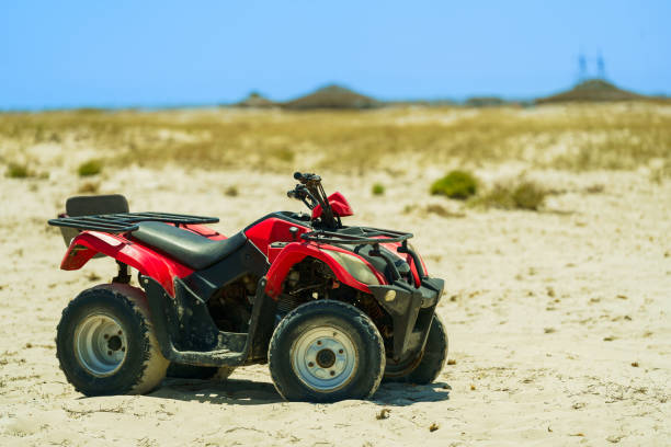 istock Buggy dunes on remote island beach at Djerba, Tunisia 2171172150