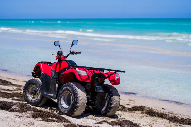 istock Buggy dunes on remote island beach at Djerba, Tunisia 2171172151