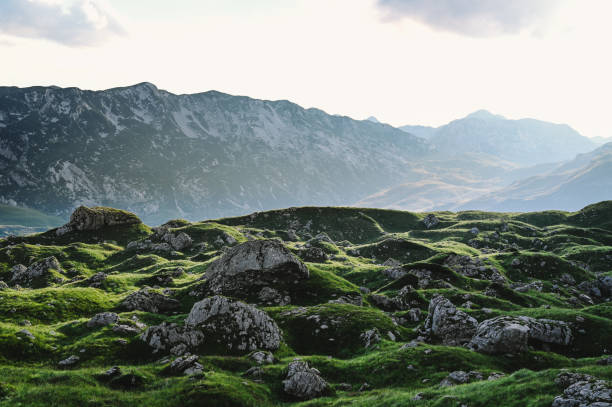istock Panoramic Mountain Range and Views - Alpine style Alps in Durmitor, Montenegro - Wide Landscape Shot of epic Mountains and Roads 2171172213