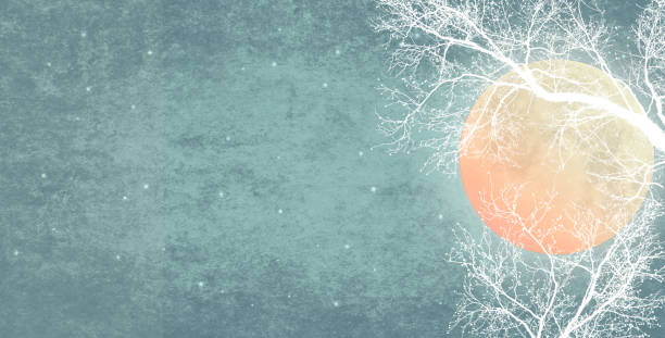 istock Ethereal Pastel Sky and Full Moon with White Branches Silhouettes - Atmospheric Mood 2171172861