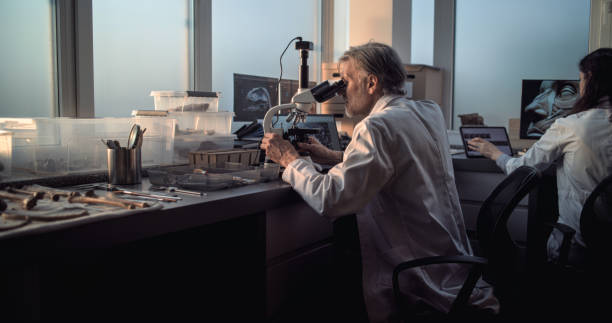 istock Mature microbiologist conducts fossil analysis under microscope, looks at laptop screen 2171174895