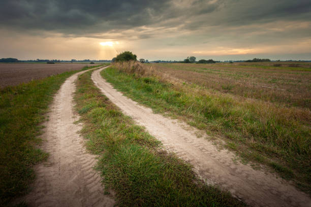 istock A sandy dirt road through fields and a cloudy evening sky 2171175905