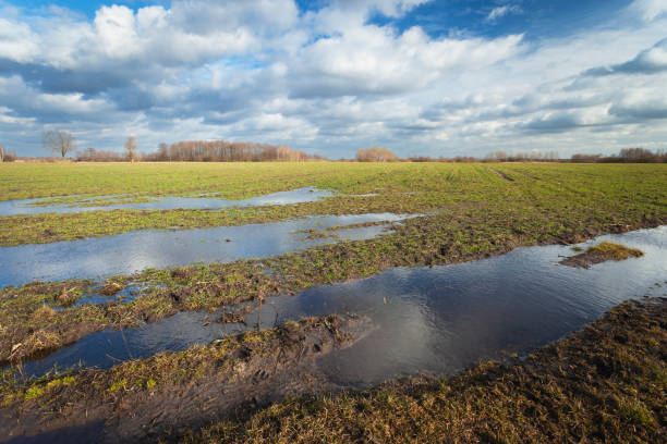 istock Water on the rural field and clouds on the sky 2171175928