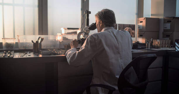 mature microbiologist analyzes fossil sample under microscope - archeoloog stockfoto's en -beelden