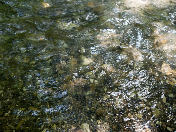 istock The river, with its rapid flow and majestic cliffs, creates a breathtaking landscape, reflecting the strength and beauty of the wild nature 2171179174