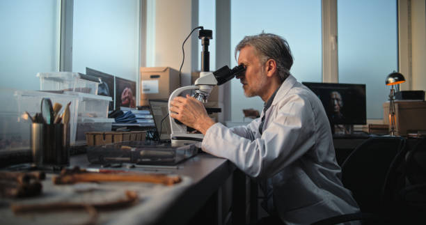 istock Mature scientist conducts fossil analysis under microscope, uses laptop 2171180376
