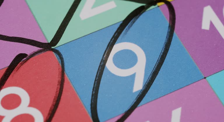Close-Up of a Bingo Card with the Number 9 Circled in Black Marker