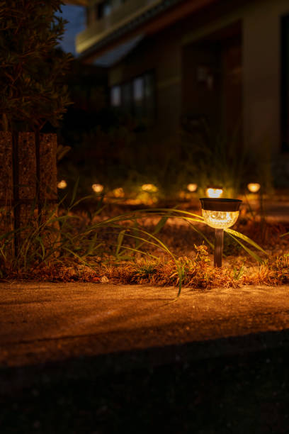 istock Park and street light at night Material 2171186885