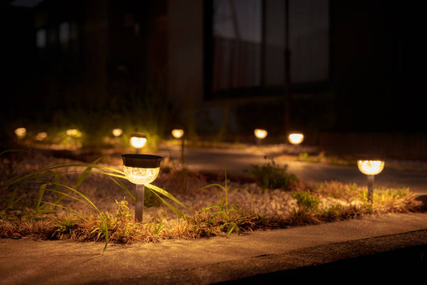 istock Park and street light at night Material 2171187183