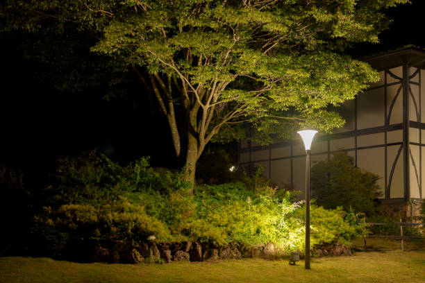 istock Park and street light at night Material 2171187546